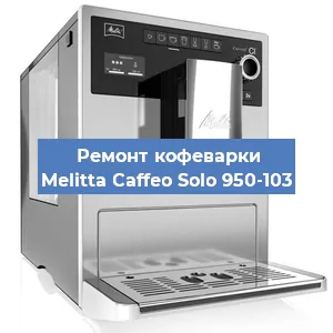 Ремонт капучинатора на кофемашине Melitta Caffeo Solo 950-103 в Воронеже